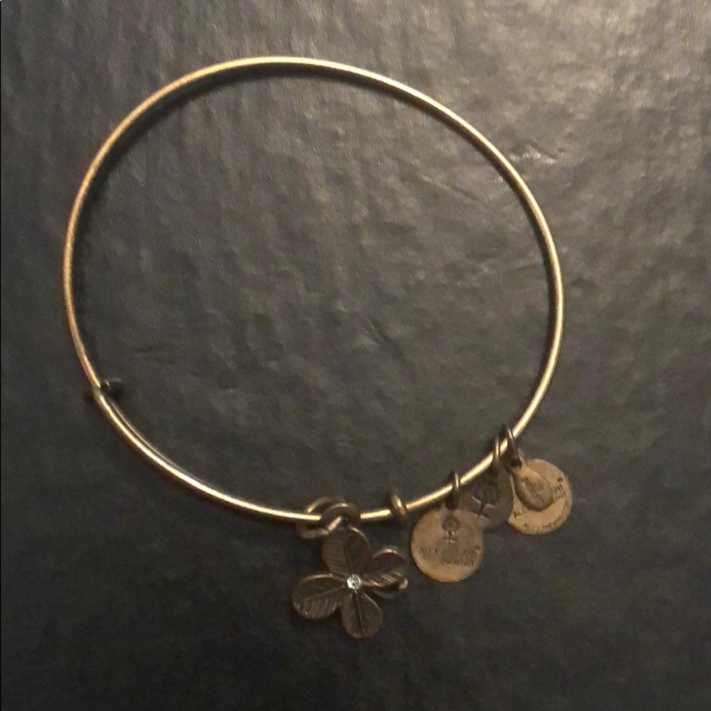 Alex and Ani bracelet